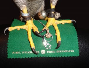 falconry pendant peregrine falcon