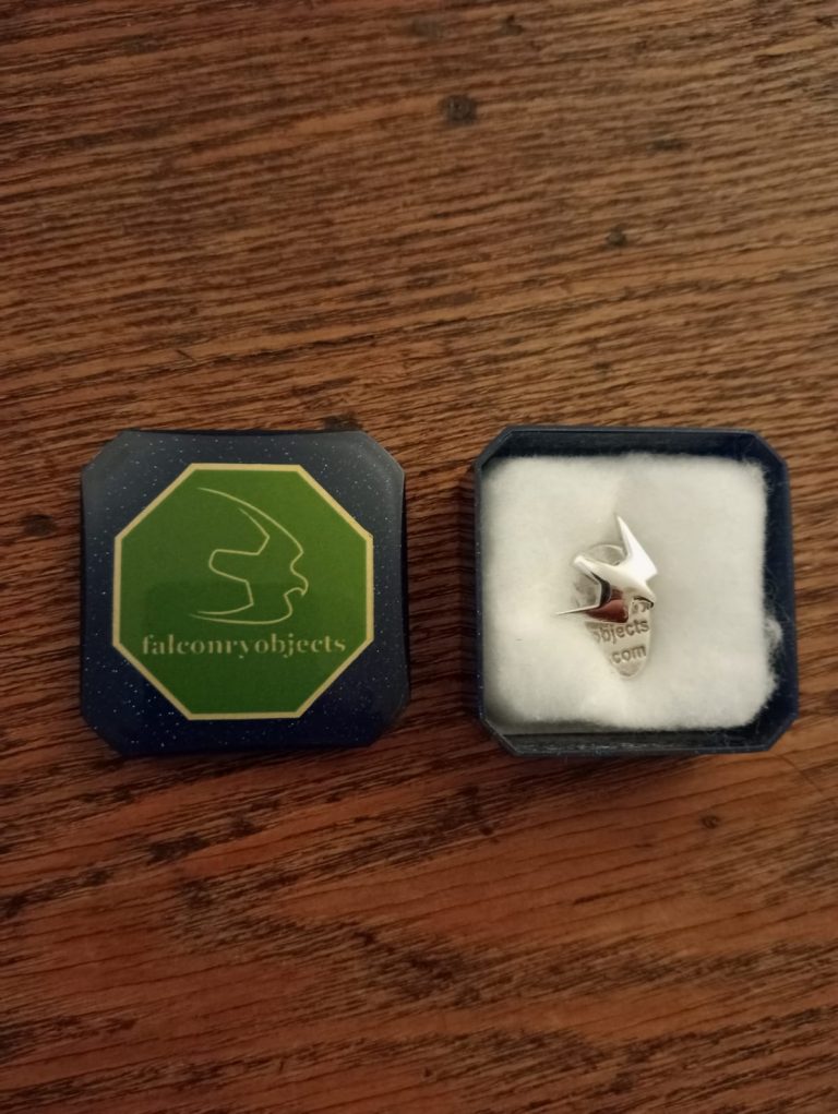 falconry brooch