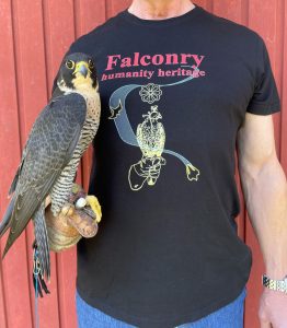 alt="falconry t shirt"